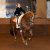 Impressionen aus dem Training » Impressionen aus dem Training